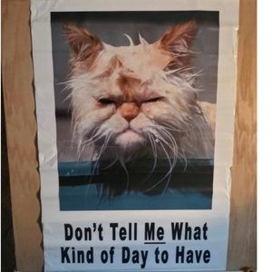 Don't Tell Me What Kind of Day to Have! Scorpio Poster #1316 Pic By Larry Wall